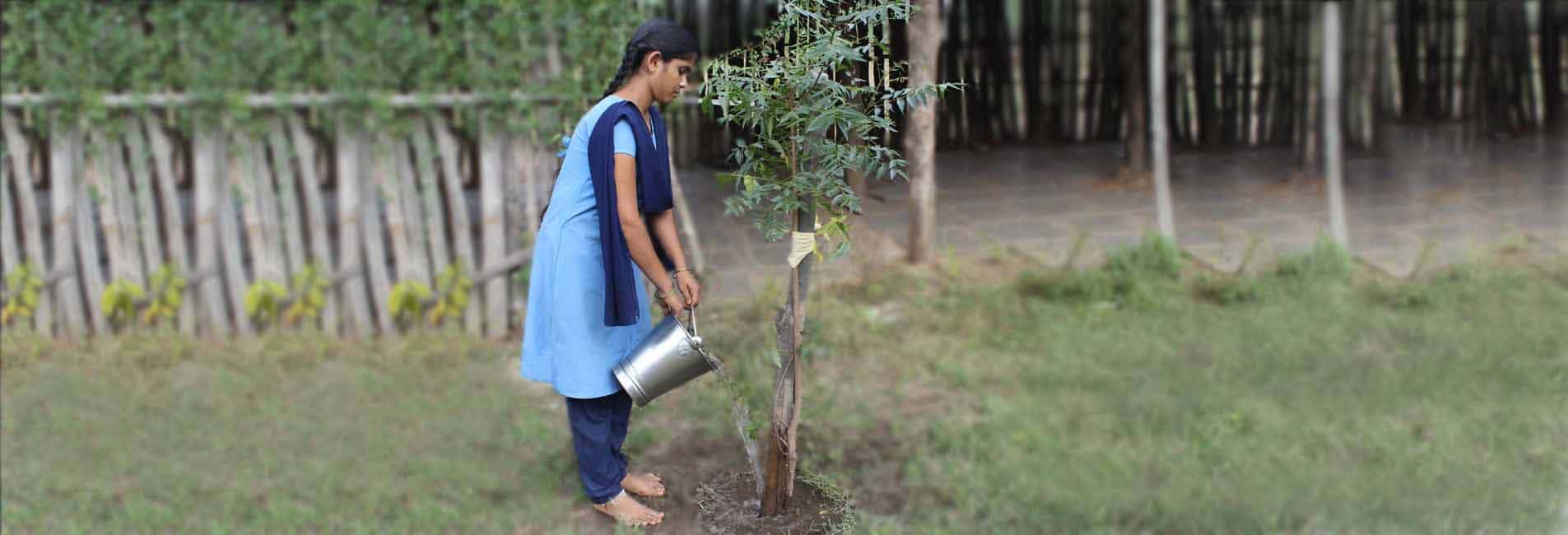 Environment Protection Planting Trees