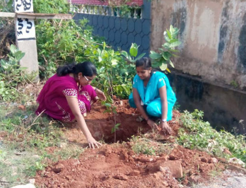 Vikasa Tarangini Youth in Vizag Planting trees