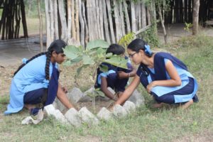 Environment Girls Jeeyar Gurukulam Students