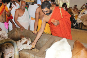 Go Seva HH Chinna Jeeyar Swamiji