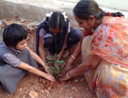 Karthikavana Mahotsavam celebrated by Nethra Vidyalaya by Planting Trees