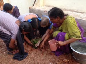 Nethra Vidyalaya Celebrates Planting Trees Karthikavana Mahotsavam