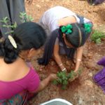 Nethra Vidyalaya Planting Trees Karthikavana Mahotsavam