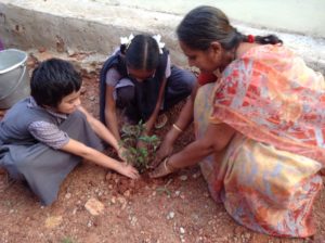 Netra Vidyalaya Planting Trees on the occassion of Karthikavana Mahotsavam