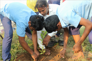 Planting Trees Save Trees Environment Protection