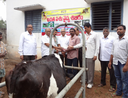 Karimnagar Vikasa Tarangini conducted Veterinary Camp