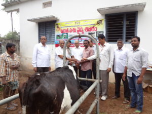Karimnagar VikasaTarangini conducted Veterinary Camp