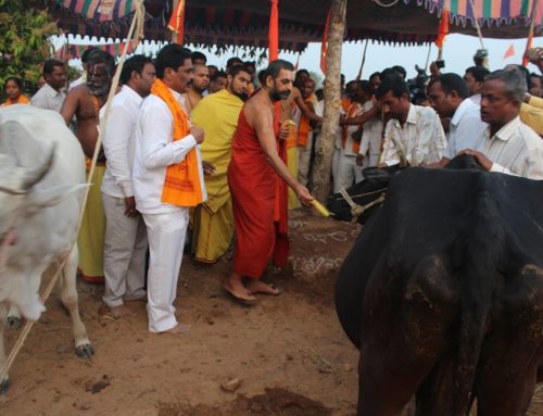 Veterinary Camp in Chagallu, Warangal Dist