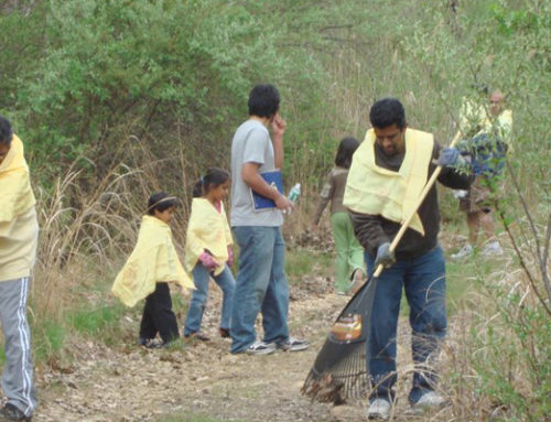 Vikasa Tarangini Seva Conducted Earth Day