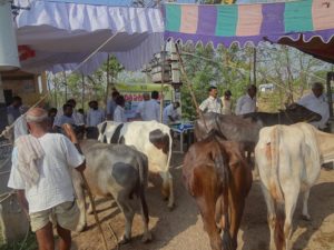 Veterinary camp conducted in Karimnagar