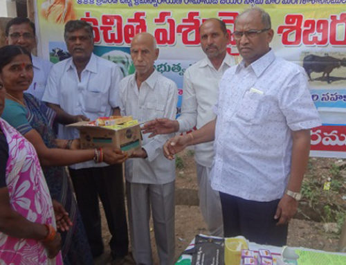 Veterinary camp conducted in Karimnagar