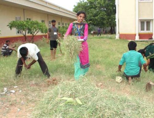 Vikasa Tarangini Trainees Participated in  Swacch Bharath Program