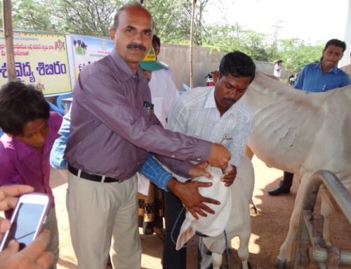 Pashu Vydya Shibhiram – Warangal