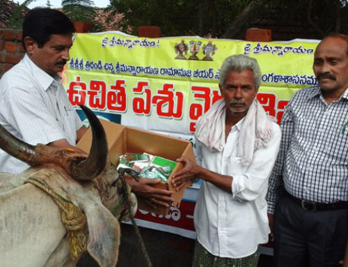 Karimnagar Vikasa Tarangini Conducted Veterinary Camp in Buggilla