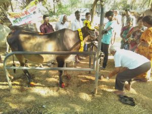 Vikasa Tarangini Karimnagar Conducted Free Veterinary Camp Devampally