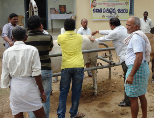 Vikasa Tarangini Warangal Conducted Veterinary Camps in December