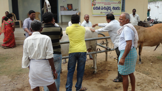 Vikasa Tarangini Warangal Conducted Veterinary Camps in December