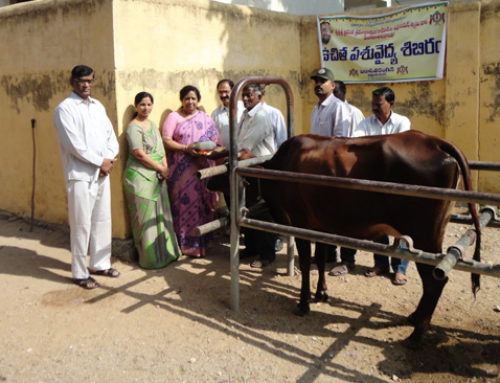 Warangal Vikasa Tarangini Latest News
