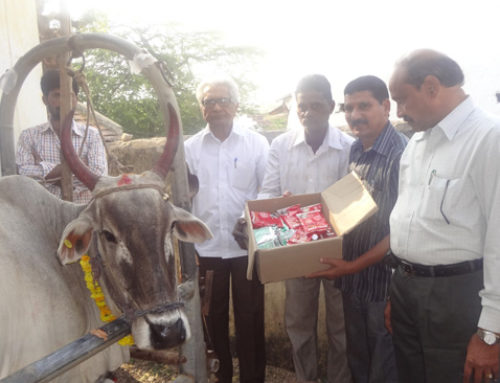 Vikasa Tarangini Conducted Veterinary Camp at Pollampally