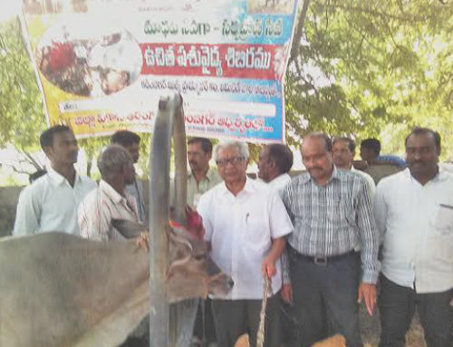 Vikasa Tarangini Karimnagar Conducted Veterinary Camp in Deshrajapally