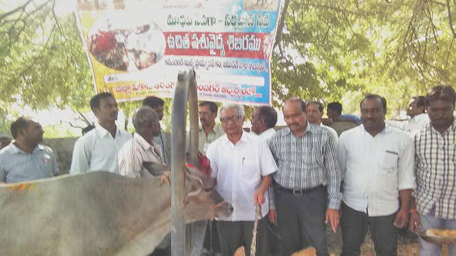 Vikasa Tarangini Karimnagar Conducted Veterinary Camp in Deshrajapally