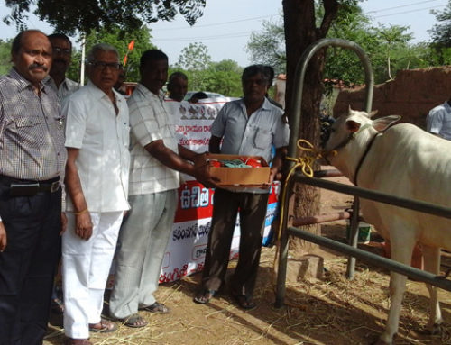 Vikasatarangini Conducted Veterinary Camp- Animal Protection
