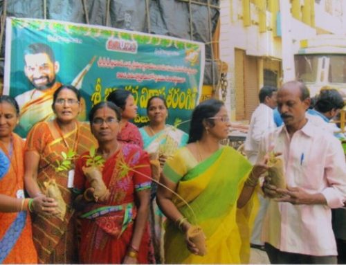 Plantation of 900 saplings in Eluru