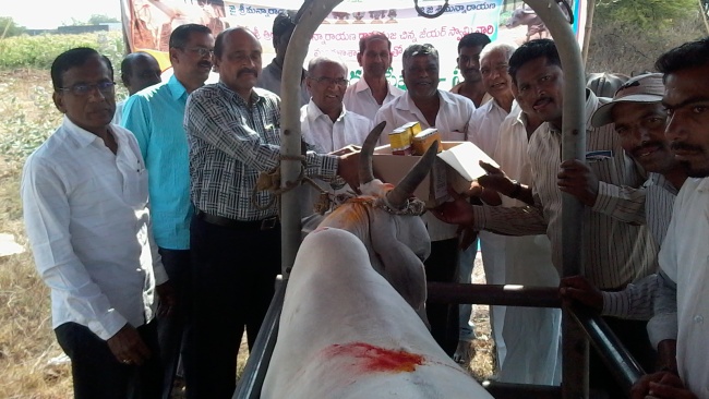 Veterinary Camp Conducted in Lambadipalle, Karimnagar Dist