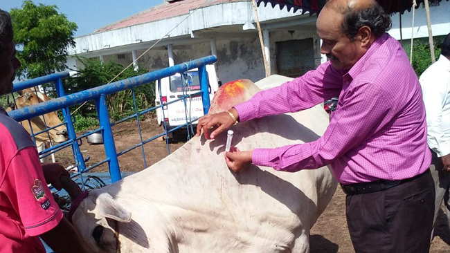 Vikasatarangini Karimnagar Conducted a Veterinary Camp