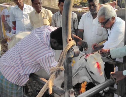 About 128 animals greatly benefit from a camp by VikasaTarangini Karimnagar