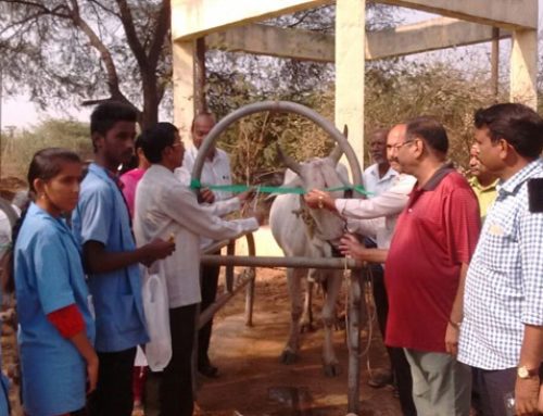 Vikasatarangini conducts free veterinary camps – conserve the eco-system for a beautiful world