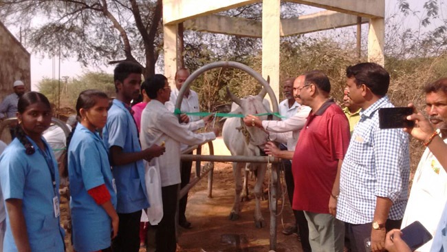 Vikasatarangini conducts free veterinary camps – conserve the eco-system for a beautiful world