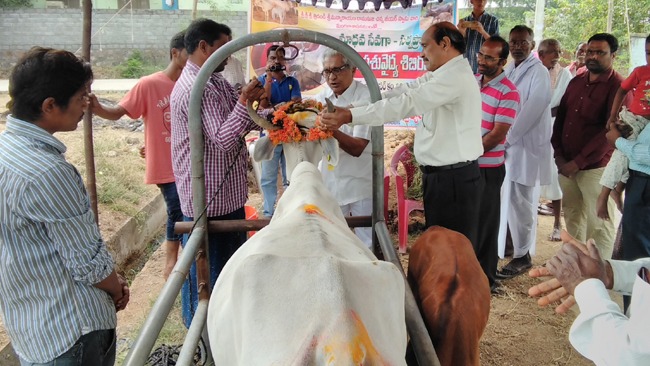 Applaudable Go Seva effort by VT Karimnagar with the Karimnagar Diary Society Animal Protection