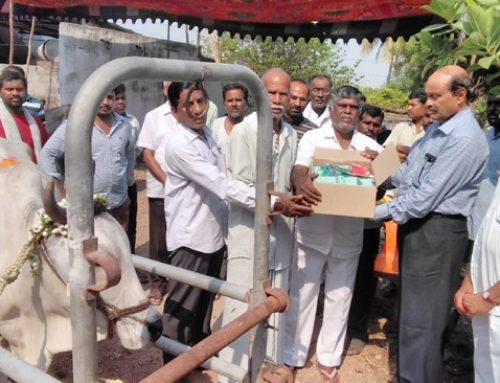Vikasatarangini Conducted Veterinary Camp at Regadi Maddi Kunta