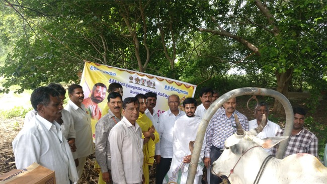 Vikasa tarangini conducted Veterinary Camp at Ullampally Animal protection