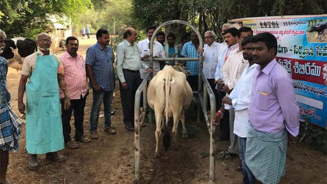 Veterinary Camp were conducted at Dhurshed