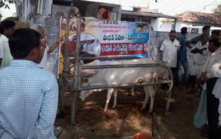 Free Veterinary Camps Serve to All Living Beings