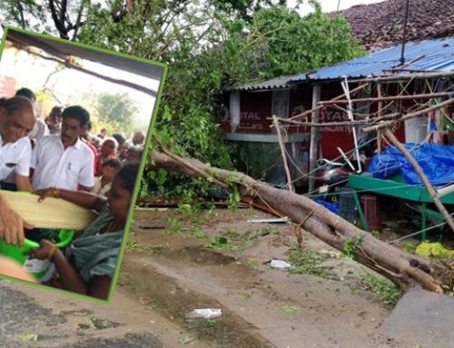 Cyclone Gaja Shatters Dreams In Tamil Nadu