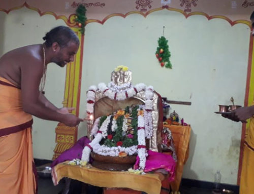 Vikasa Tarangini Celebrated Bheeshma Ekadasi
