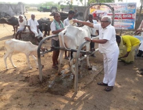 Camp conducted on World Veterinary day