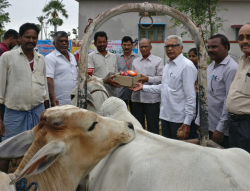 Vikasa Tarangini Reach to Siricilla For Animal Protection