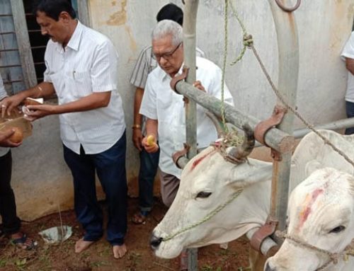 Veterinary Camp at Dhulikatta Karimnagar