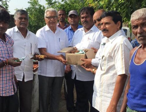 Veterinary Camp at Sadashivapalle Karimnagar