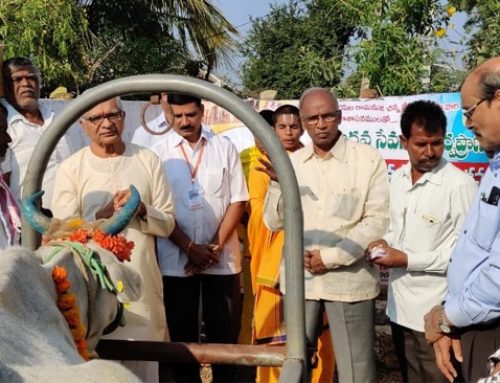 100+ cattle treated in the veterinary camp.