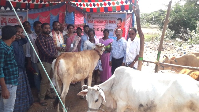 Veterinary Camp in Conducted in Srikakulam
