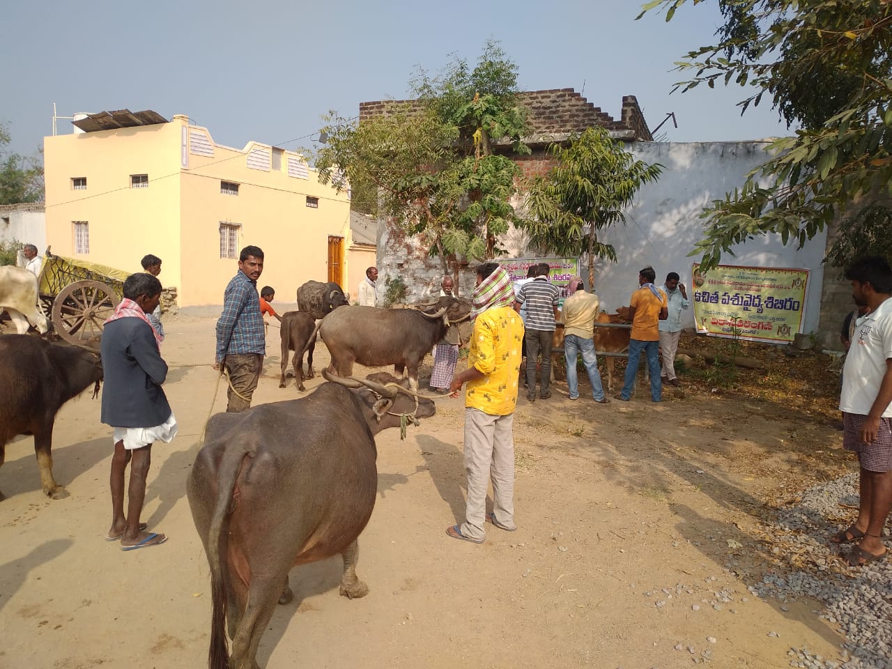 VT Seva conducting Free veterinary Camp at Hanumakonda Warangal 2020