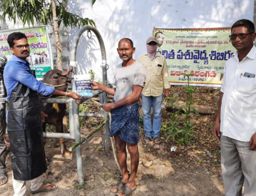 VT Seva conducting Free veterinary Camp at Hanumakonda Warangal