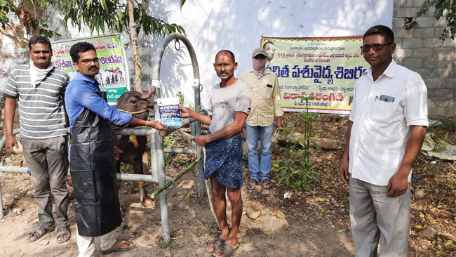 VT Seva conducting Free veterinary Camp at Hanumakonda Warangal