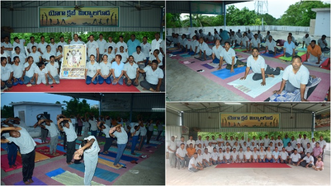 Vikasa Tarangini Hosts International Yoga Day in Miryalaguda0