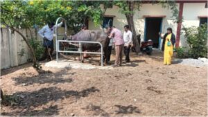 VT Conducted Veterinary Camp